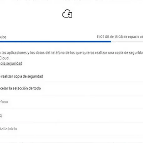 Realiza una copia de seguridad