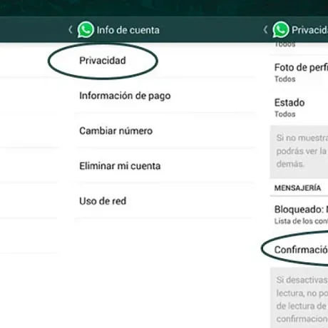 Paso a paso