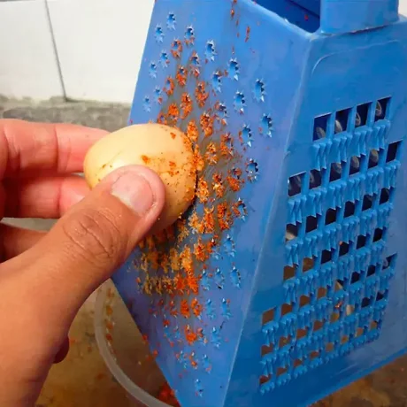 ¿Cómo consumir el carozo de la palta?