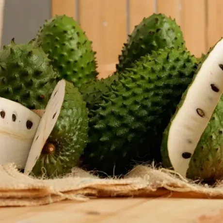 El fruto de la Guanábana