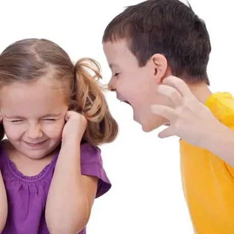 Conductas agresivas en la infancia