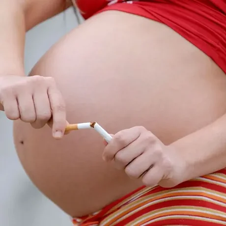A cuidarse con lo que consumís, tu bebé recibe todo