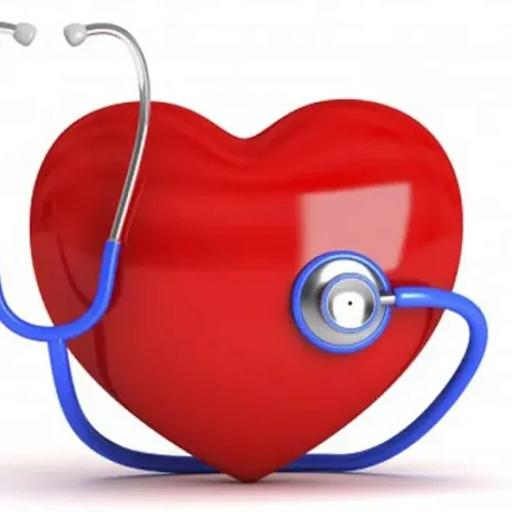 Te cuida la salud cardiovascular