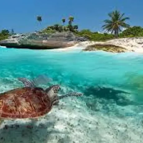 Playa del Carmen