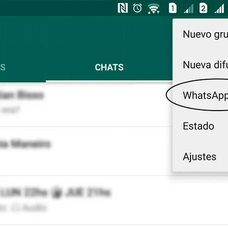 Paso 2