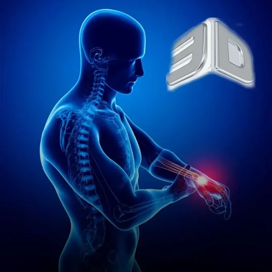El estudio de la anatomía será digital y en 3D