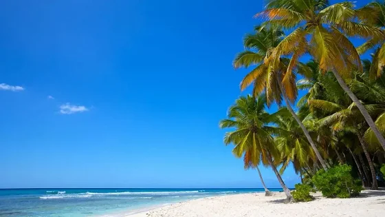 Conocé Riviera Maya, un destino paradisíaco