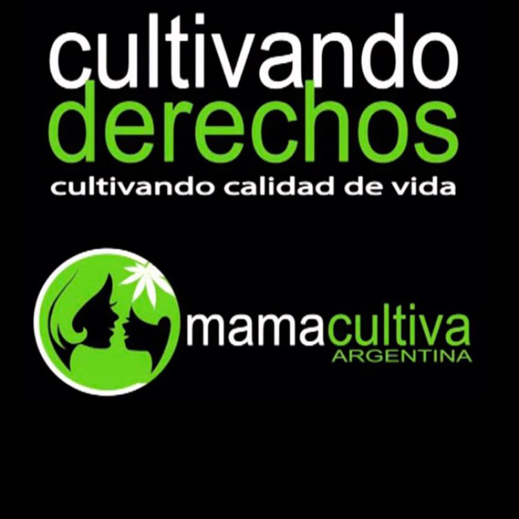 El proyecto que se busca sancionar propone la despenalización del cultivo personal y colectivo del uso del cannabis para tratamientos médicos.