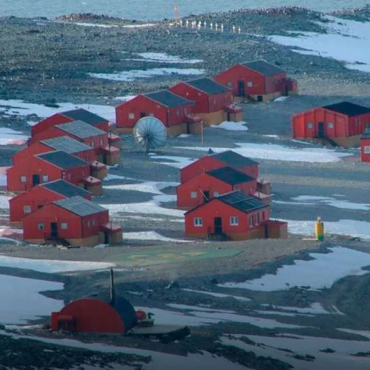 La Antártida argentina, más caliente: registran el día más cálido de la historia