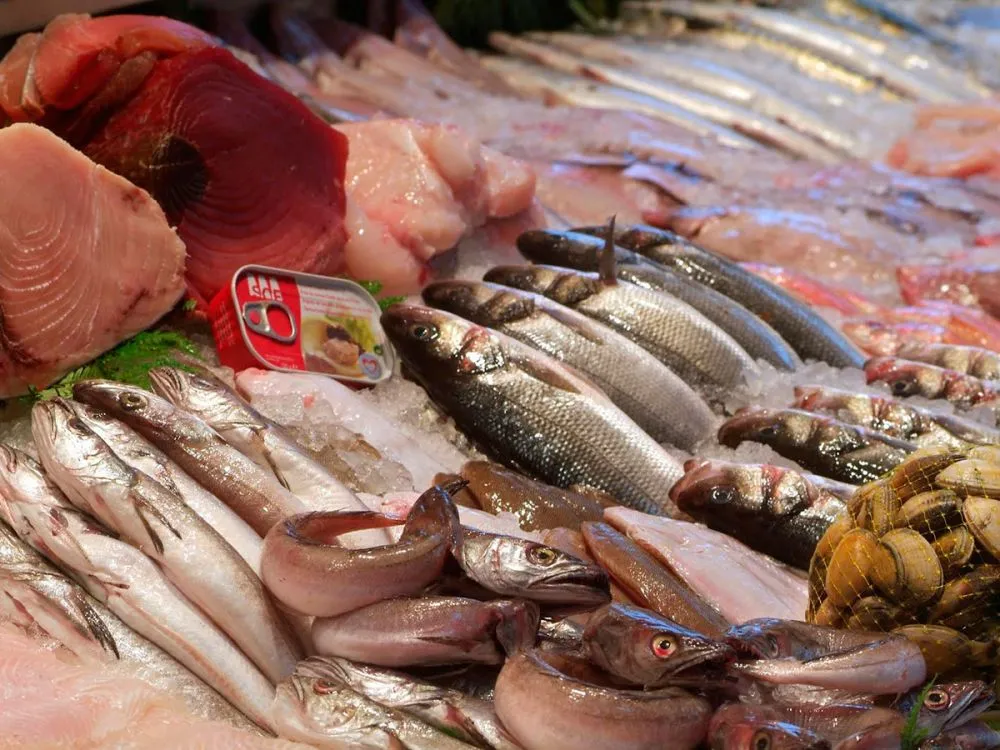 ¿Cómo comprar pescado fresco y evitar intoxicaciones?