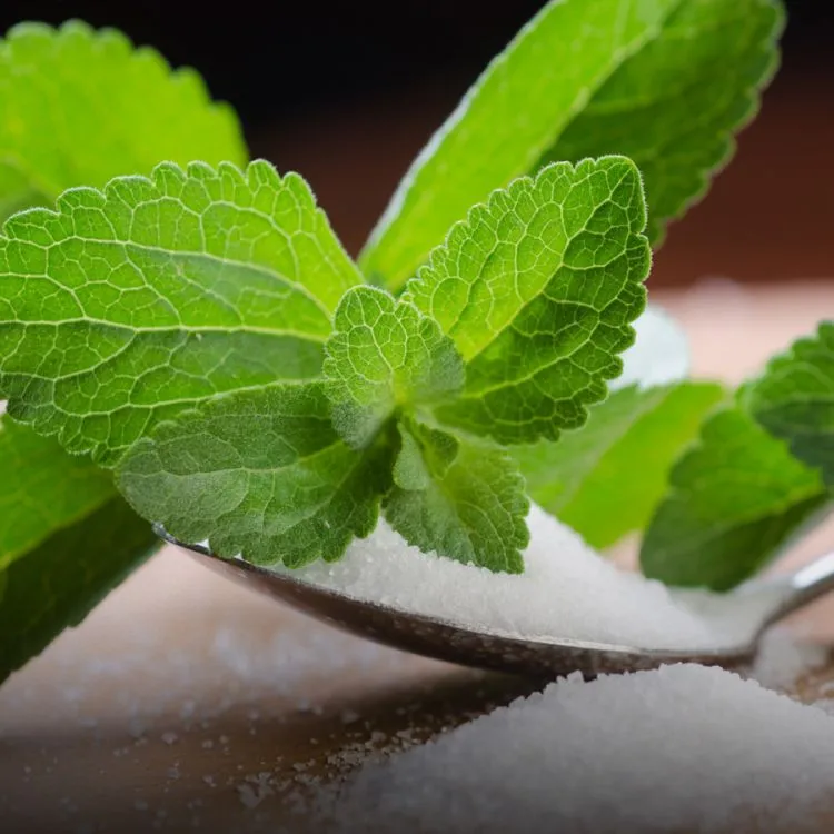 Stevia, un endulzante natural y sano