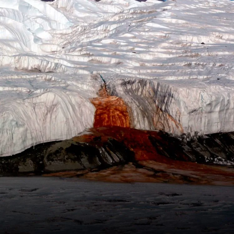El fenómeno proviene básicamente de una acumulación de óxido de hierro de las sales del agua del propio glaciar.