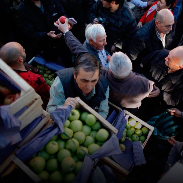 Otro reclamo común de los los productores locales se refería a los miles de kilos de frutas que están ingresando de Chile y Europa.