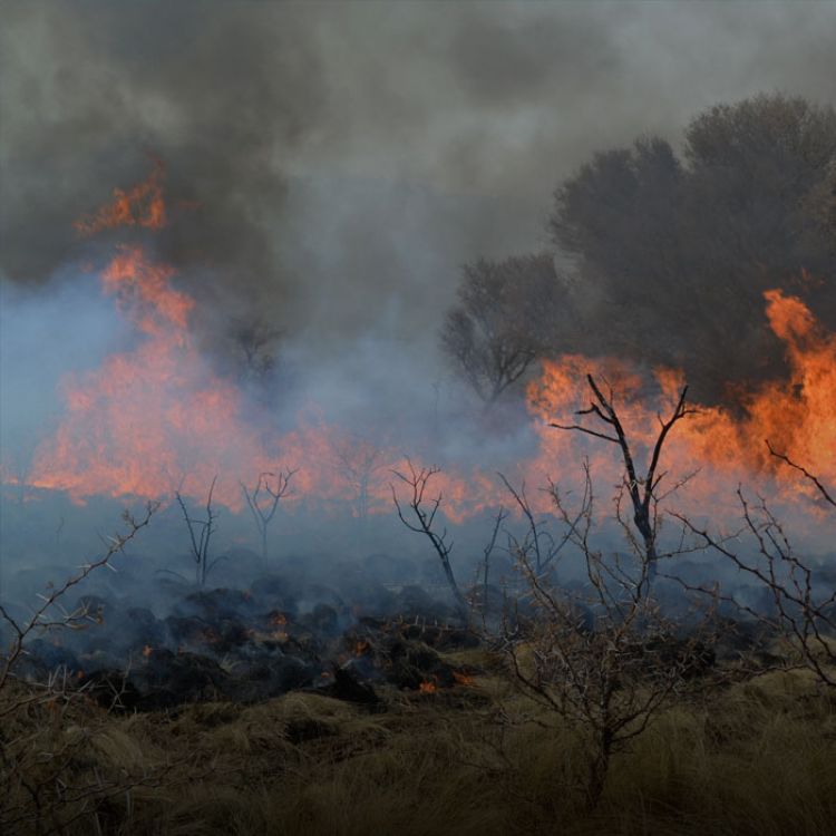 Un segundo foco de incendio sigue activo en la zona de Estancia Grande y El Durazno alto, pero el fuego se desplaza hacia el norte.