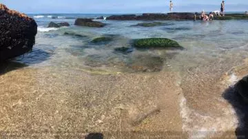 Mar del Plata y la zona se debió a la falta de viento, que provocó el decantamiento de la arena