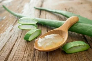 El aloe vea se puede usar para purgar y limpiar el intestino.