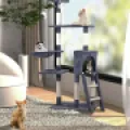 Crea un hogar seguro y saludable para tu gato, proporcionándole un ambiente donde pueda vivir feliz y saludable.