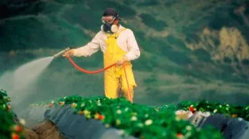 Los pesticidas
