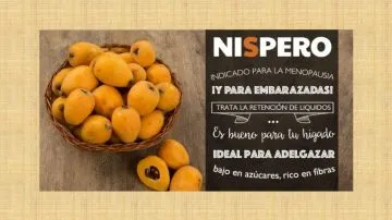 Té de Níspero para Adelgazar