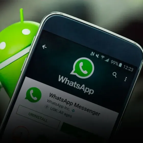 Ahora puedes mencionar usuarios en chats grupales de Whatsapp