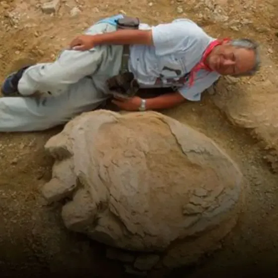 En Gobi, se encontraron huellas gigantes de un titanosaurio