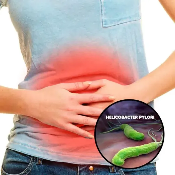 ¿Cómo eliminar de raíz a la bacteria que causa la gastritis y otros problemas estomacales?