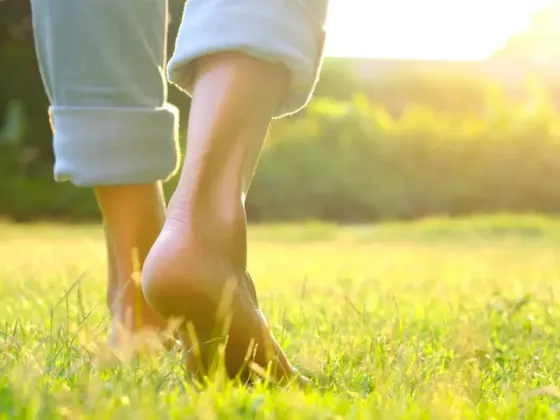 Generar hábitos diarios y simples pueden generarte grandes cambios positivos en tu vida.
