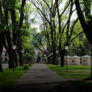 La iniciativa de promotores ambientales, se basa en la capacitación de alumnos de diferentes niveles sobre energías sustentables, entre otras cosas.