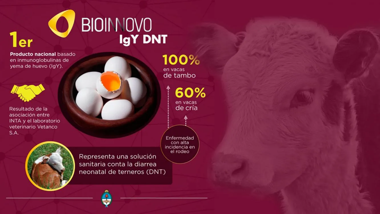 Lanzan al mercado el primer producto biotecnológico mundial que reducirá la muerte de terneros